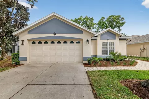 6027 Spring Creek Ct, Mount Dora, FL 32757
