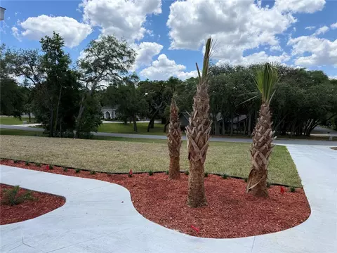 Exterior - 421 W Chase St, Hernando, FL 34442 photo 9 of 11