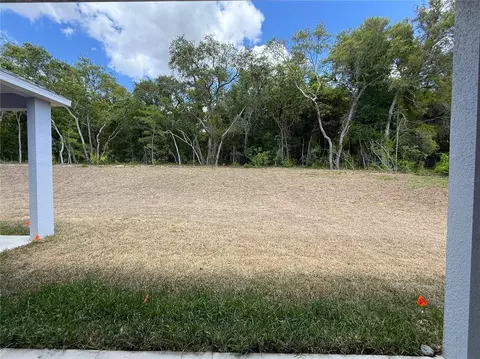 Exterior - 421 W Chase St, Hernando, FL 34442 photo 10 of 11