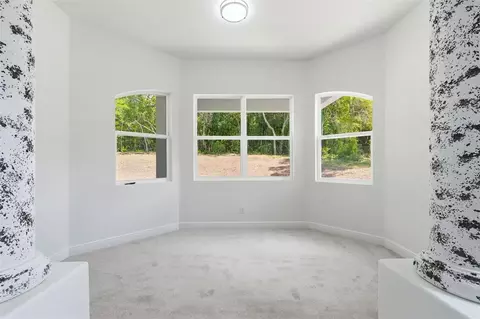 Other - 421 W Chase St, Hernando, FL 34442 photo 1 of 12