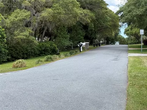 Other - 421 W Chase St, Hernando, FL 34442 photo 12 of 12