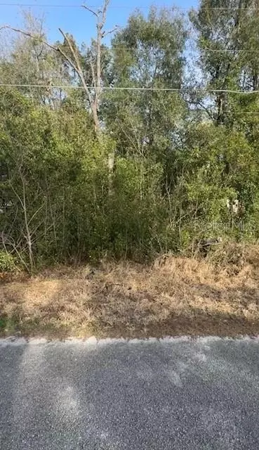 tbd SE 91 Ct, Summerfield, FL 34491
