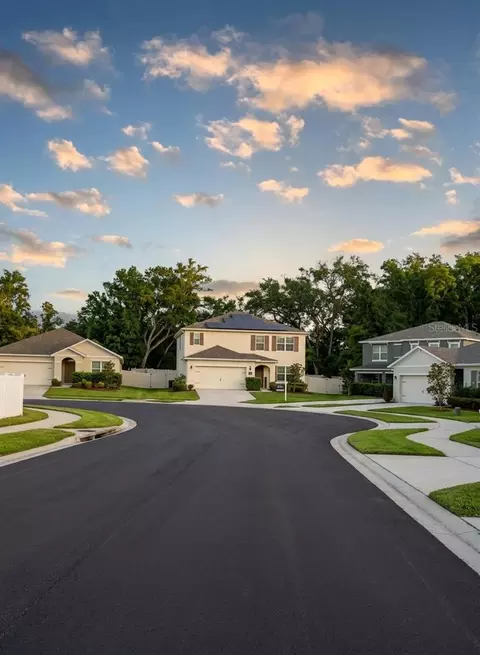 3609 Crimson Clover Dr, Mount Dora, FL 32757