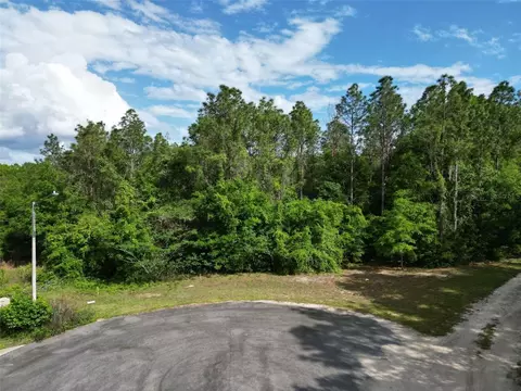 0000 SE 119 St, Belleview, FL 34420 photo 11