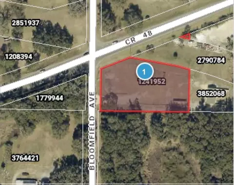 County Road 48, Yalaha, FL 34797
