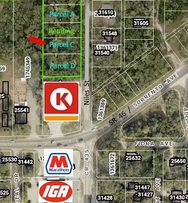 31577 Niles St, Mount Plymouth, FL 32776