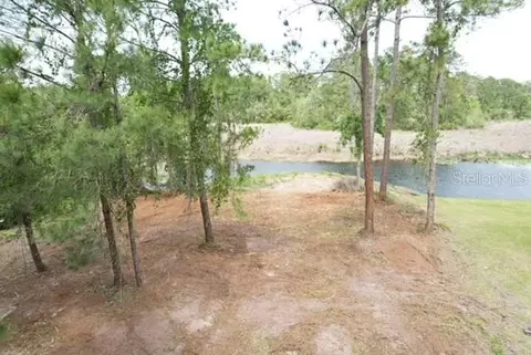 Locust Run Drive, Ocala, FL 34472