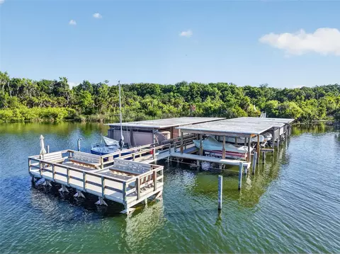 605 Sandlake Ct, Mount Dora, FL 32757