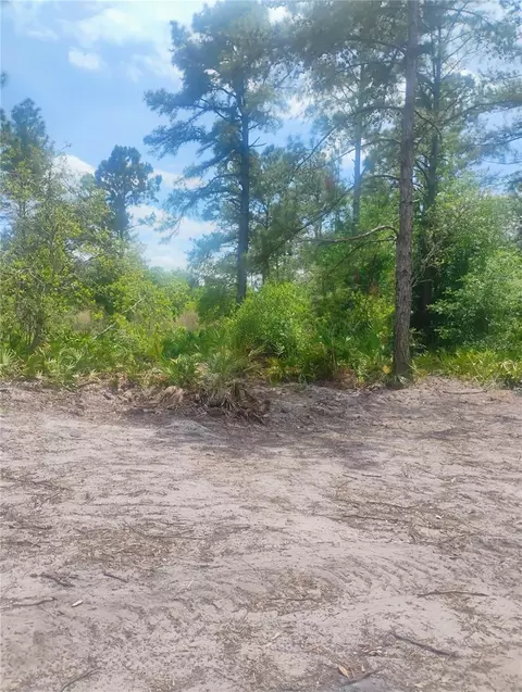 Park Forest Boulevard, Mount Dora, FL 32757