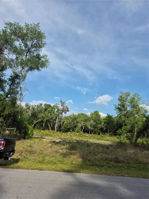 7490 Shasta St, Webster, FL 33597