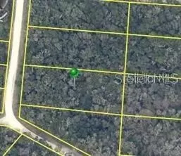 7490 Shasta St, Webster, FL 33597 photo 3
