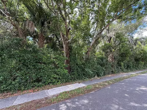 tbd King Ave, Zellwood, FL 32798