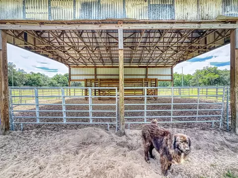 Other - 2713 Cr 776, Webster, FL 33597 photo 18 of 23