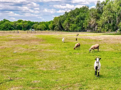 Other - 2713 Cr 776, Webster, FL 33597 photo 8 of 23