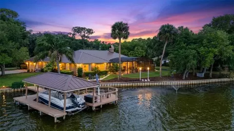29650 Squirrel Point Rd, Tavares, FL 32778