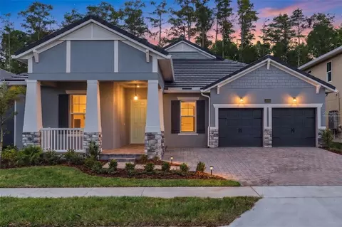 14353 Crest Palm Ave, Windermere, FL 34786