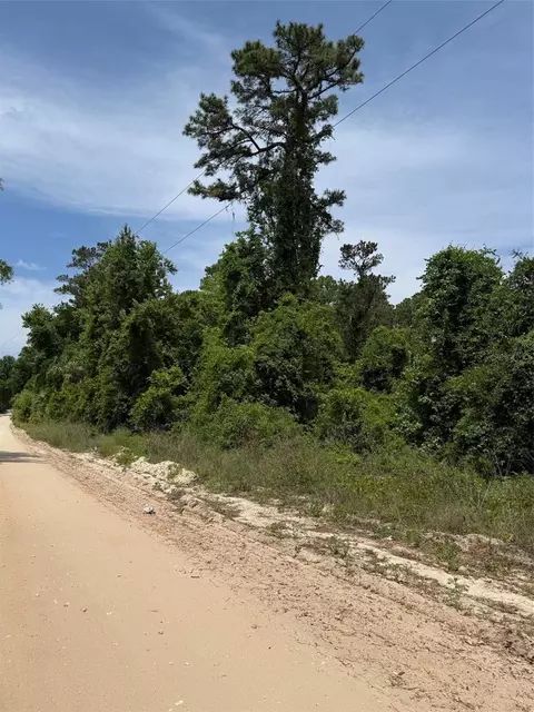 000 Folklore Dr, Satsuma, FL 32189 photo 3