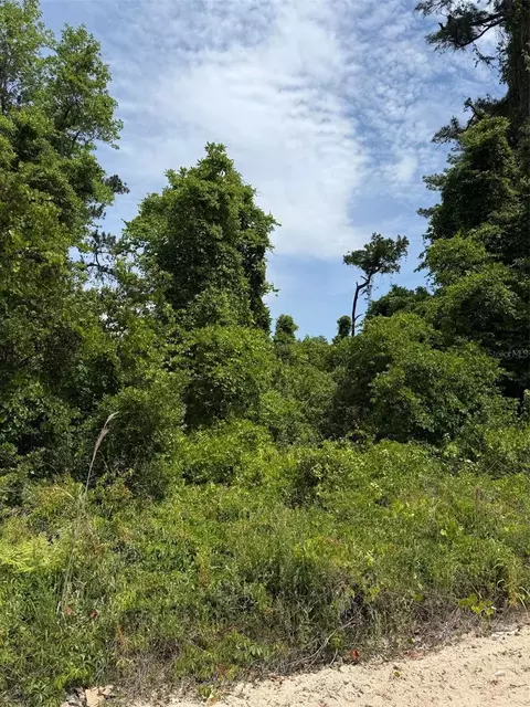 000 Folklore Dr, Satsuma, FL 32189 photo 2
