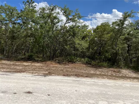 Sage Thrasher Ave, Weeki Wachee, FL 34614