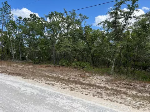 Sage Thrasher Ave, Weeki Wachee, FL 34614