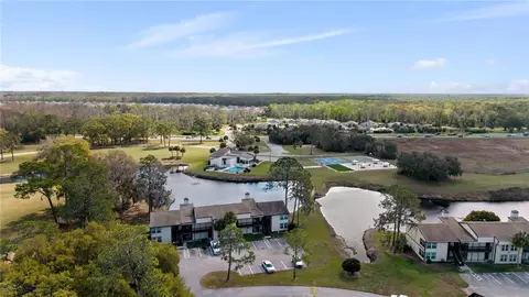 17203 Sandalwood Dr, Wildwood, FL 34785