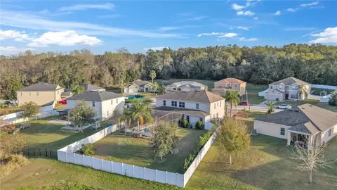 View/Area - 3463 Creek Run Ln, Eustis, FL 32736 photo 3 of 4