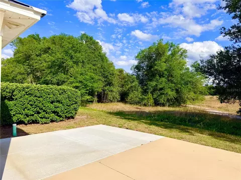 4885 SE 92nd Blvd, Webster, FL 33597 photo 4
