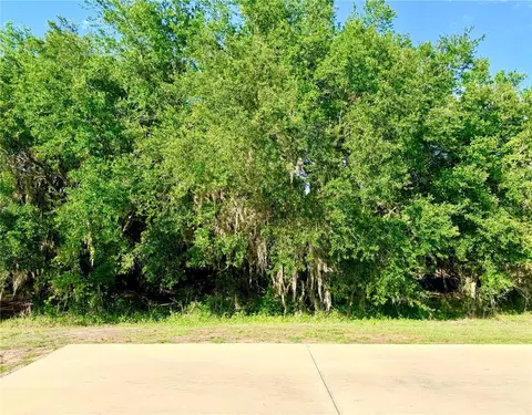 4933 SE 92nd Blvd, Webster, FL 33597 photo 6