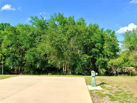 4933 SE 92nd Blvd, Webster, FL 33597 photo 5