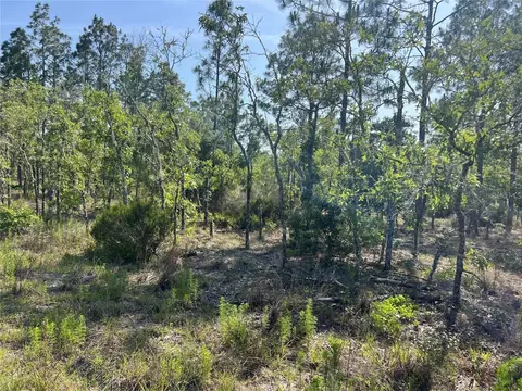 NE 151st Avenue, Williston, FL 32696