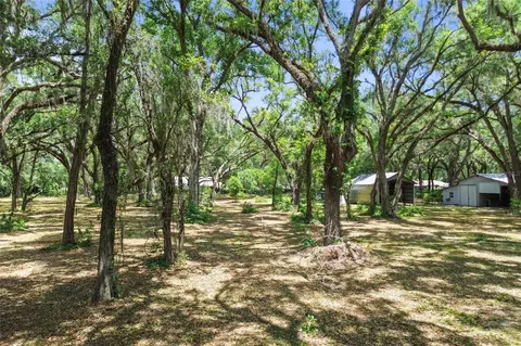 Exterior - 1153 Cr 722, Webster, FL 33597 photo 25 of 31