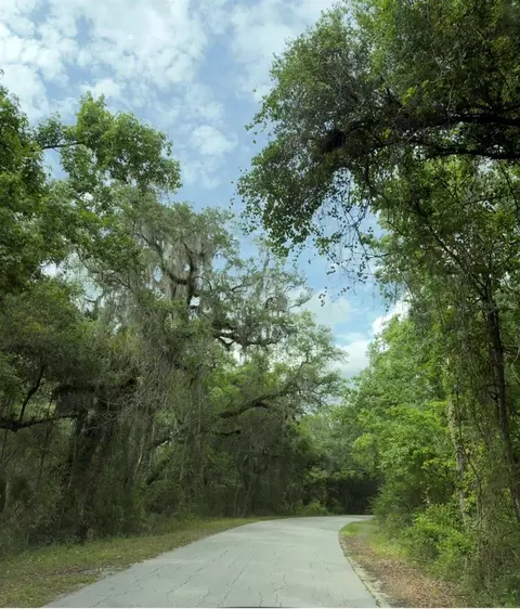 County Road 707, Webster, FL 33597