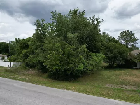 Pine Course, Ocala, FL 34472 photo 5