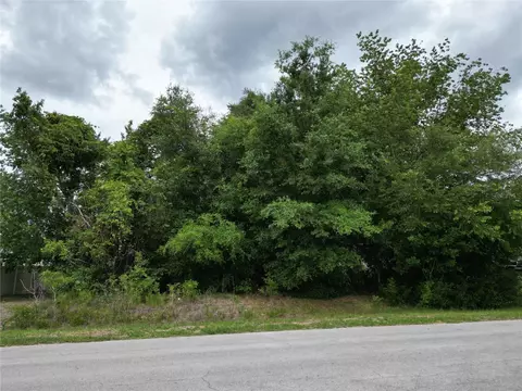 Pine Course, Ocala, FL 34472 photo 4