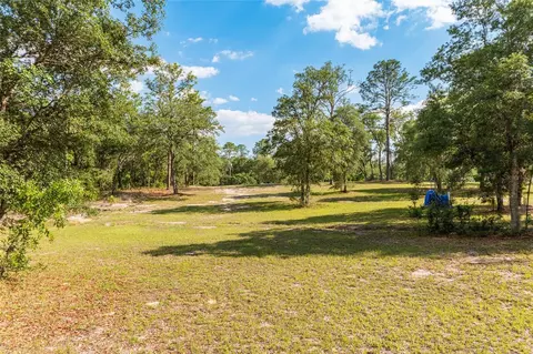 14671 SE 5th Pl, Williston, FL 32696 photo 17