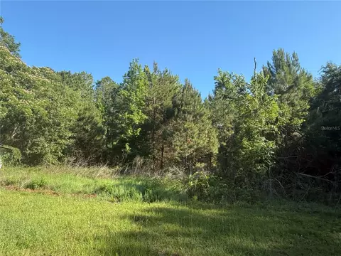 Other - 9845 NW 160th St, Reddick, FL 32686 photo 5 of 9