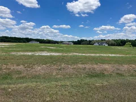 38402 Wooded Meadow Dr, Umatilla, FL 32784