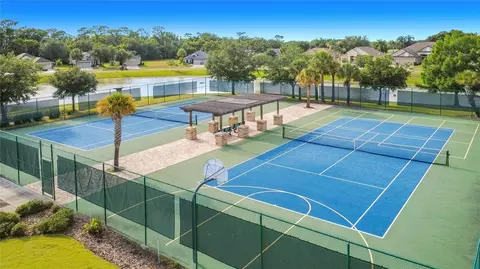 View/Area - 8461 Bridgeport Bay Cir, Mount Dora, FL 32757 photo 7 of 8