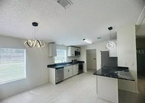 11898 SW 36th Way, Webster, FL 33597 photo 10