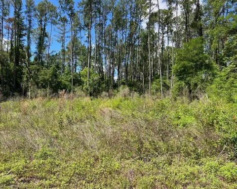9976 N Athenia Dr, Citrus Springs, FL 34434