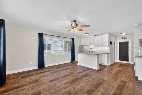 Living - 205 E 10th Ave, Mount Dora, FL 32757 photo 4 of 6