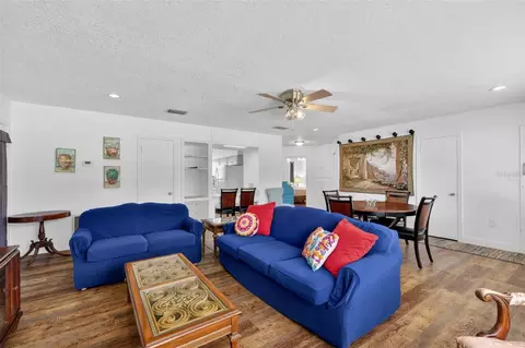 Living - 205 E 10th Ave, Mount Dora, FL 32757 photo 6 of 6