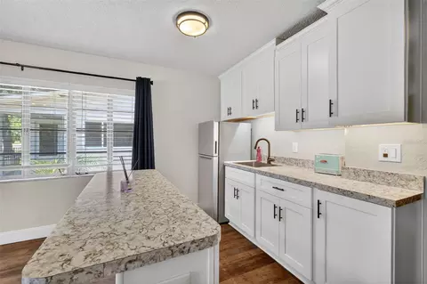 Other - 205 E 10th Ave, Mount Dora, FL 32757 photo 2 of 4