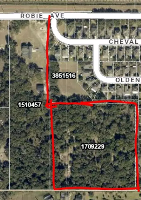 3016 Robie Ave, Mount Dora, FL 32757