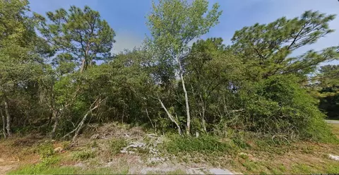SW 133 Loop, Ocala, FL 34473 photo 3