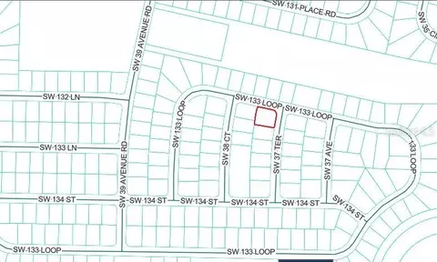 SW 133 Loop, Ocala, FL 34473 photo 4