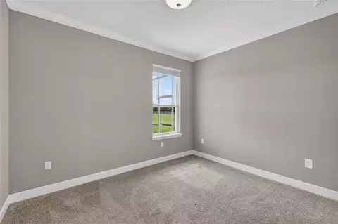 Bedroom - 35542 Seneca Reserve Dr, Eustis, FL 32736 photo 10 of 11