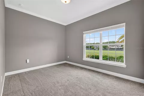 Bedroom - 35542 Seneca Reserve Dr, Eustis, FL 32736 photo 6 of 11