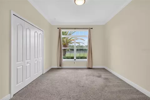 Bedroom - 35542 Seneca Reserve Dr, Eustis, FL 32736 photo 4 of 11