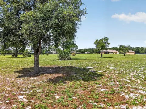 Exterior - 35542 Seneca Reserve Dr, Eustis, FL 32736 photo 13 of 16